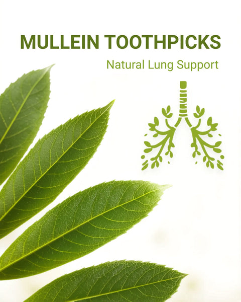 Mullein toothpicks for natural lung health support
