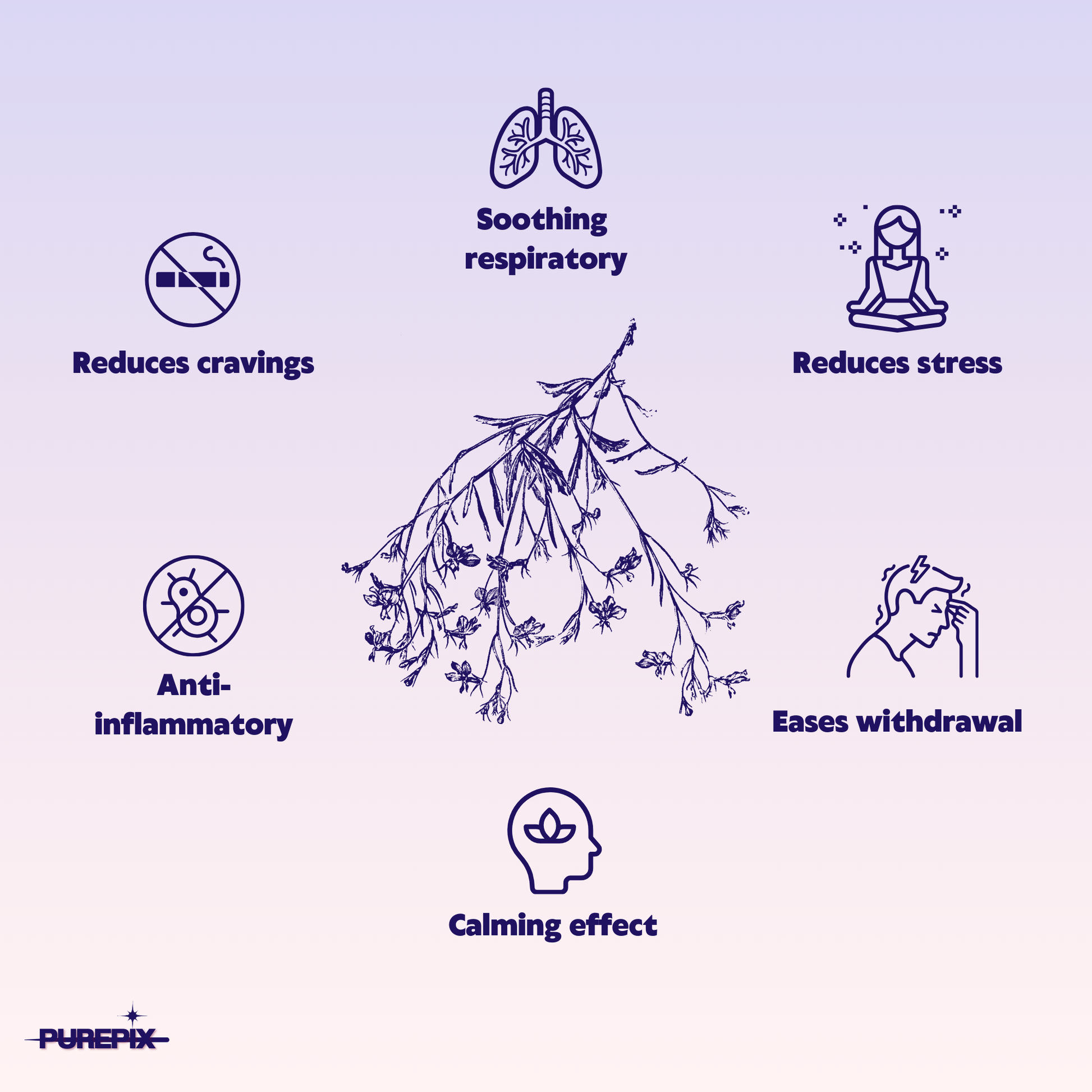 QuitPix to Help Quit Smoking Flavored Toothpicks with Lobelia -  Nicotine Free Toothpicks - Kosher