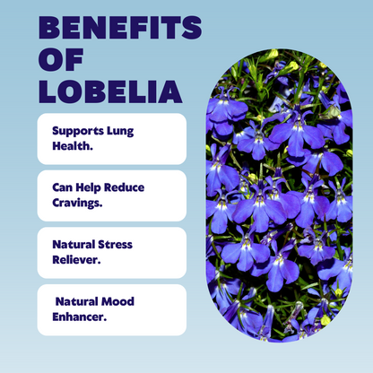 QuitPix to Help Quit Smoking Extra Thick Flavored Toothpicks with Lobelia Nicotine Free Toothpicks - (5 Flavors Variety Pack)