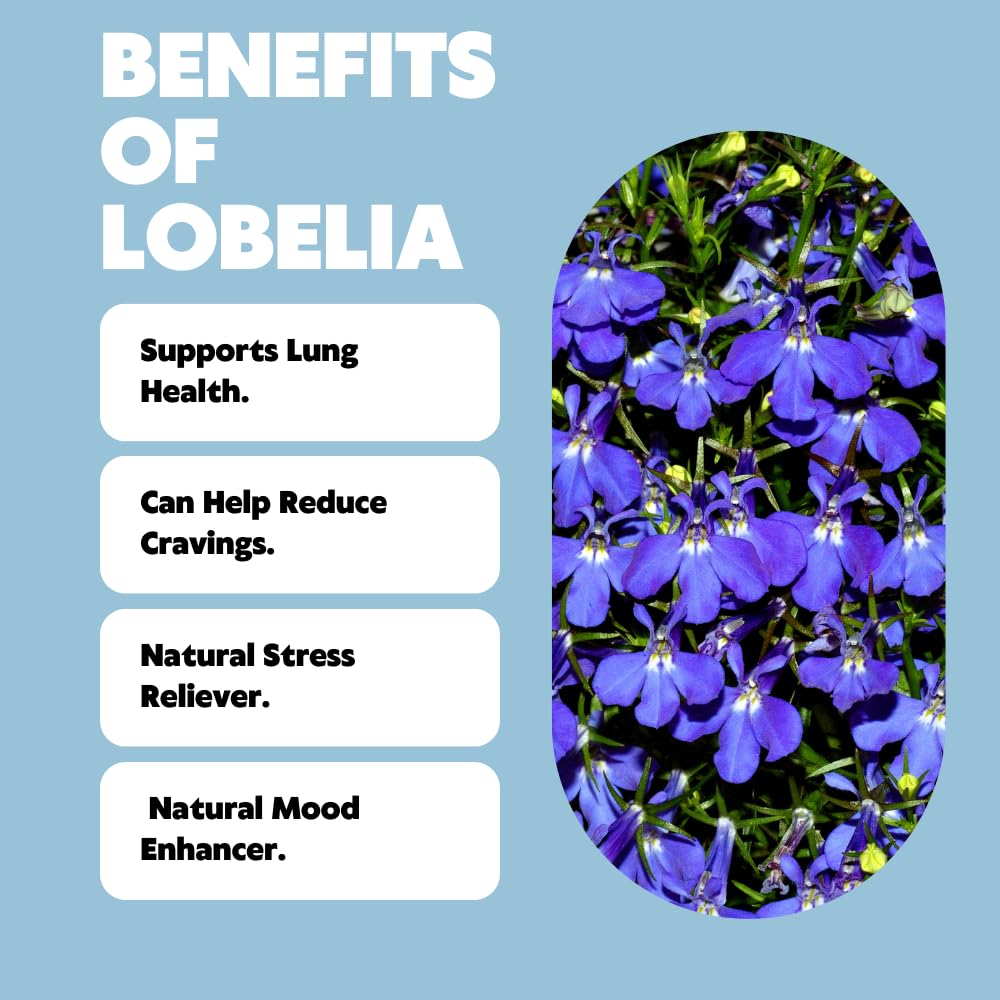 QuitPix to Help Quit Smoking Extra Thick Boosting Flavored Toothpicks with Lobelia - Aromatherapy - Oral Fixation - Nicotine Free Toothpicks - 5 Flavors Kosher Variety Pack