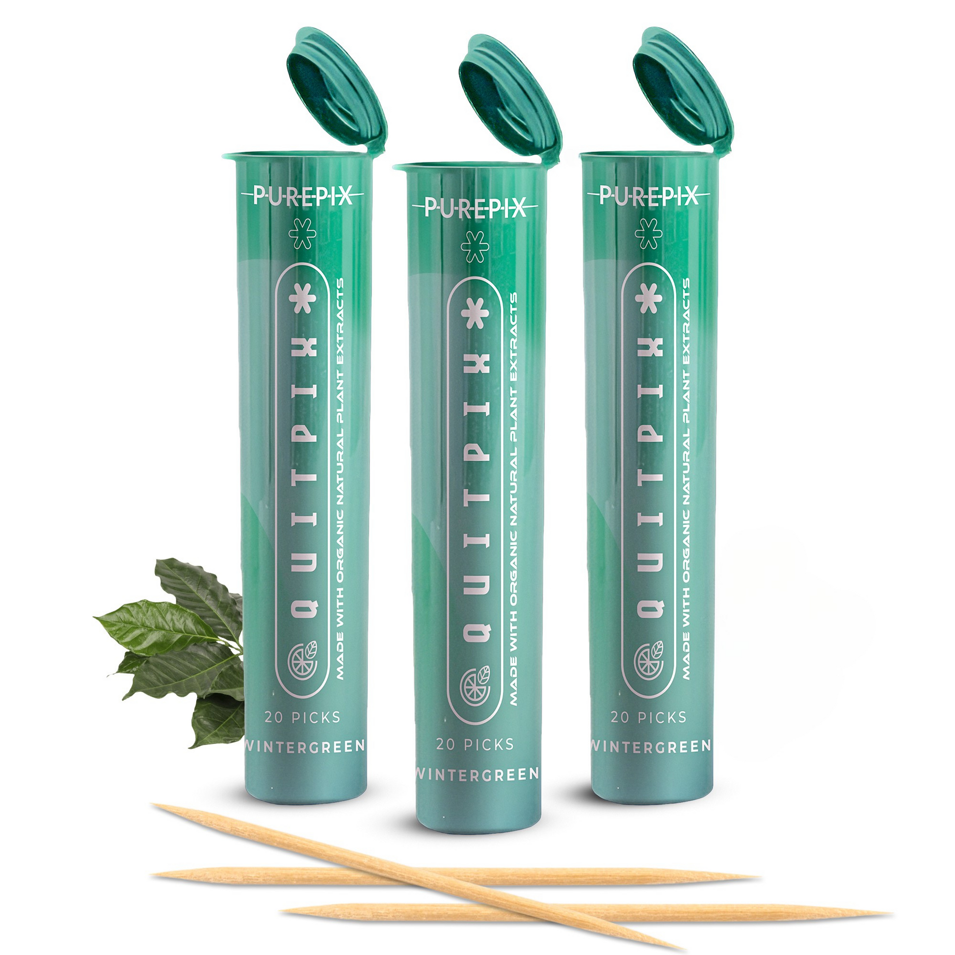 QuitPix to Help Quit Smoking Flavored Toothpicks with Lobelia -  Nicotine Free Toothpicks - Kosher