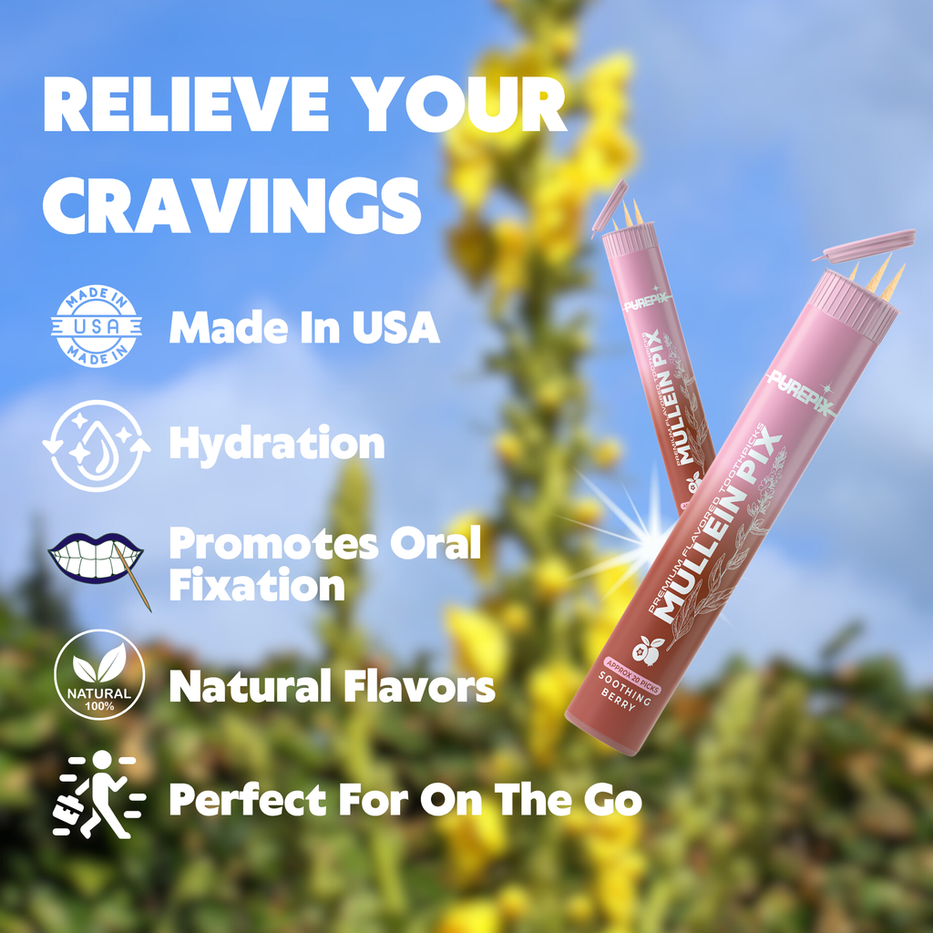 Mullein Pix, Extra Thick Boosting Flavored Toothpicks with Mullein Leaf – Natural Smoking Alternative – Lung Cleanse Support – Nicotine Free