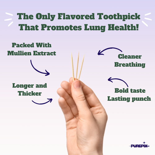 Mullein Pix, Extra Thick Boosting Flavored Toothpicks with Mullein Leaf – Natural Smoking Alternative – Lung Cleanse Support – Nicotine Free