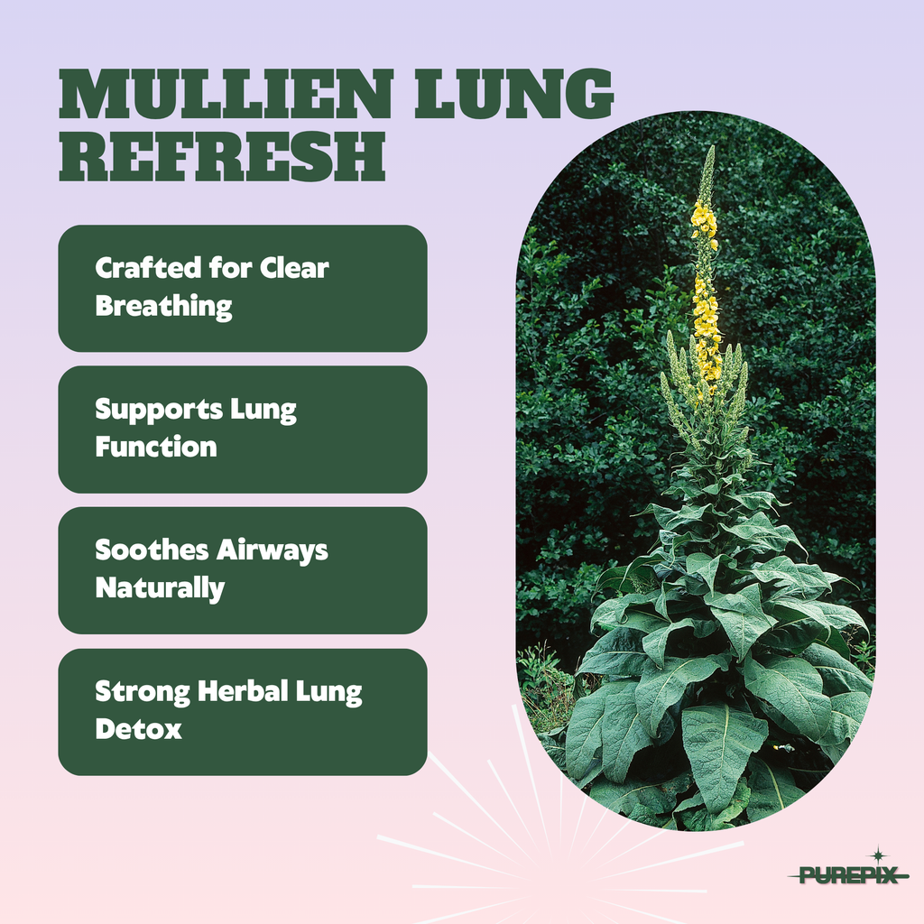 Mullein Pix, Extra Thick Boosting Flavored Toothpicks with Mullein Leaf – Natural Smoking Alternative – Lung Cleanse Support – Nicotine Free
