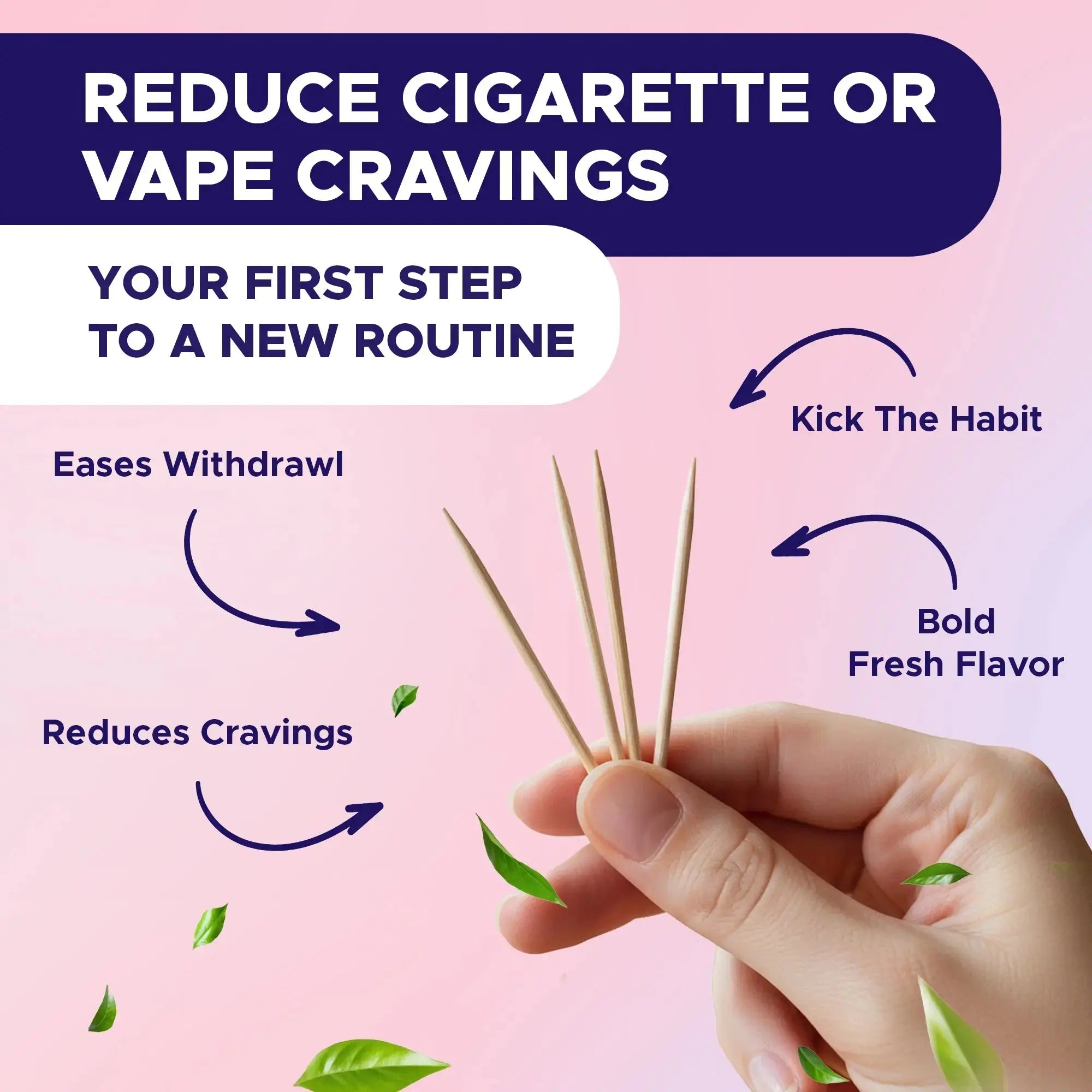 QuitPix 5 Flavors Variety Pack PurePix Brands