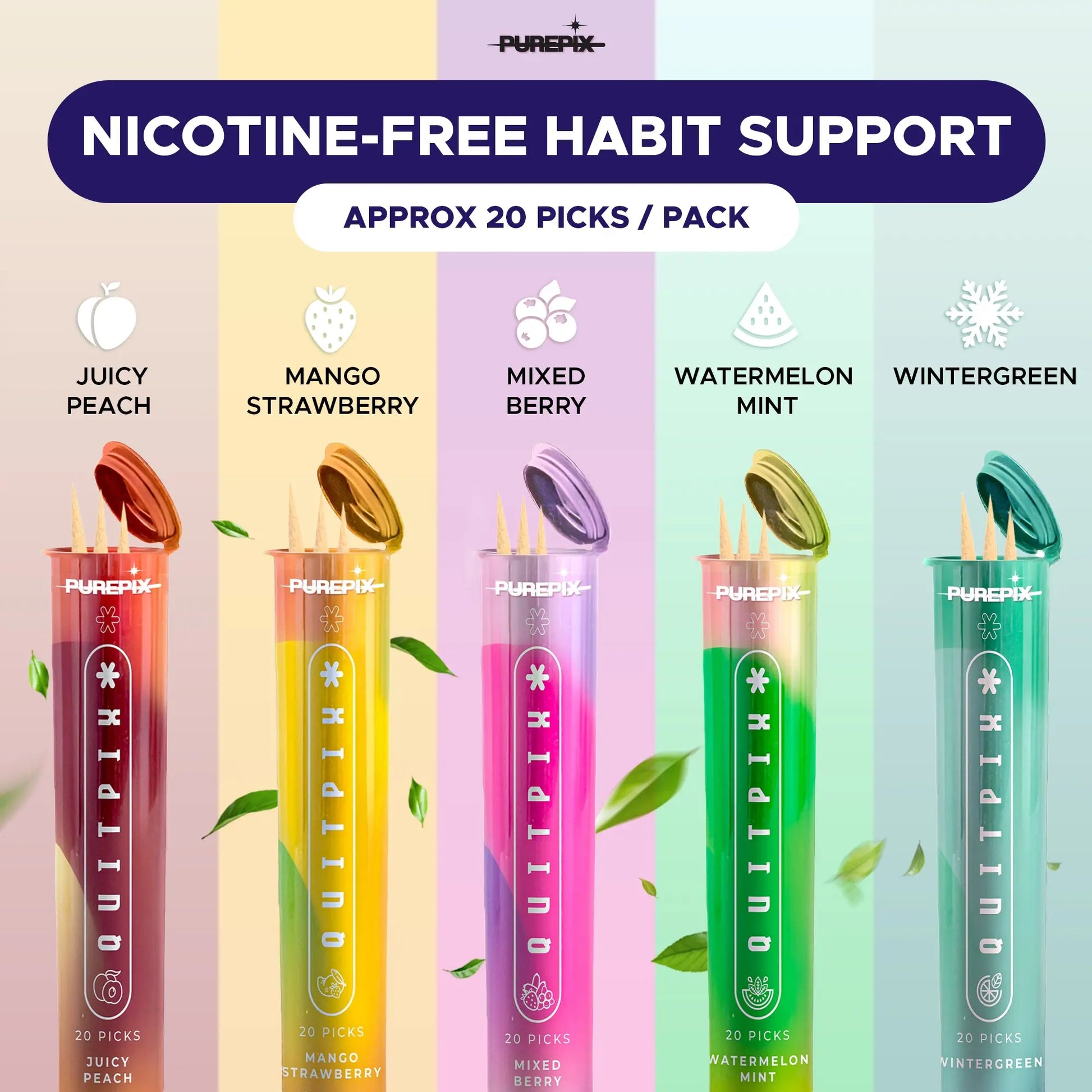 QuitPix 5 Flavors Variety Pack PurePix Brands