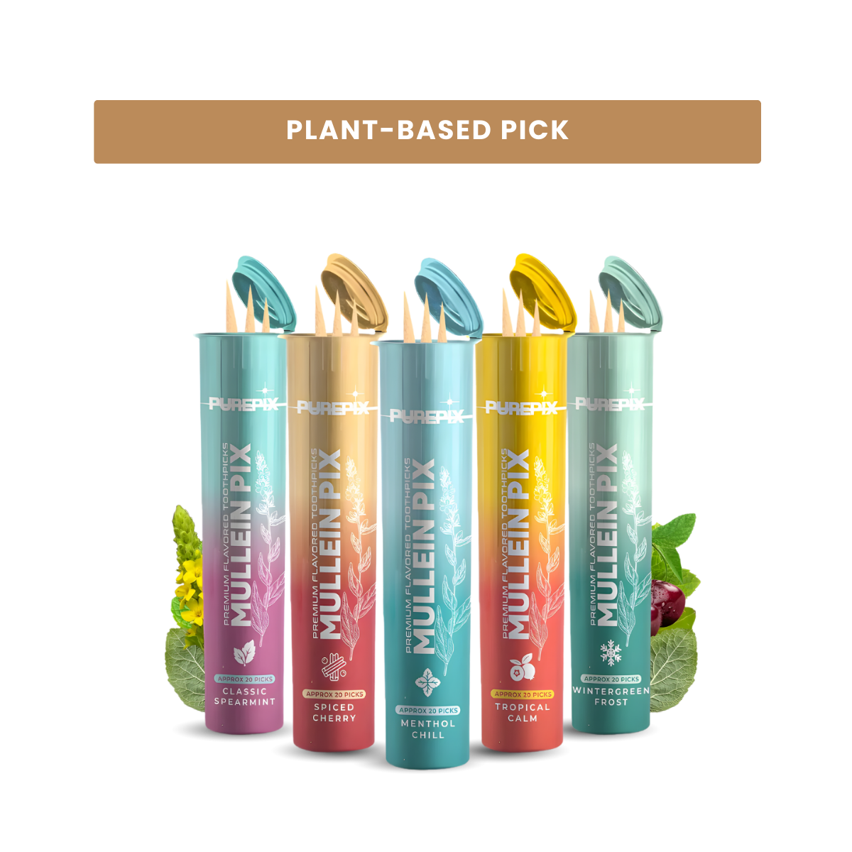 MulleinPix 5 Flavor Variety Pack