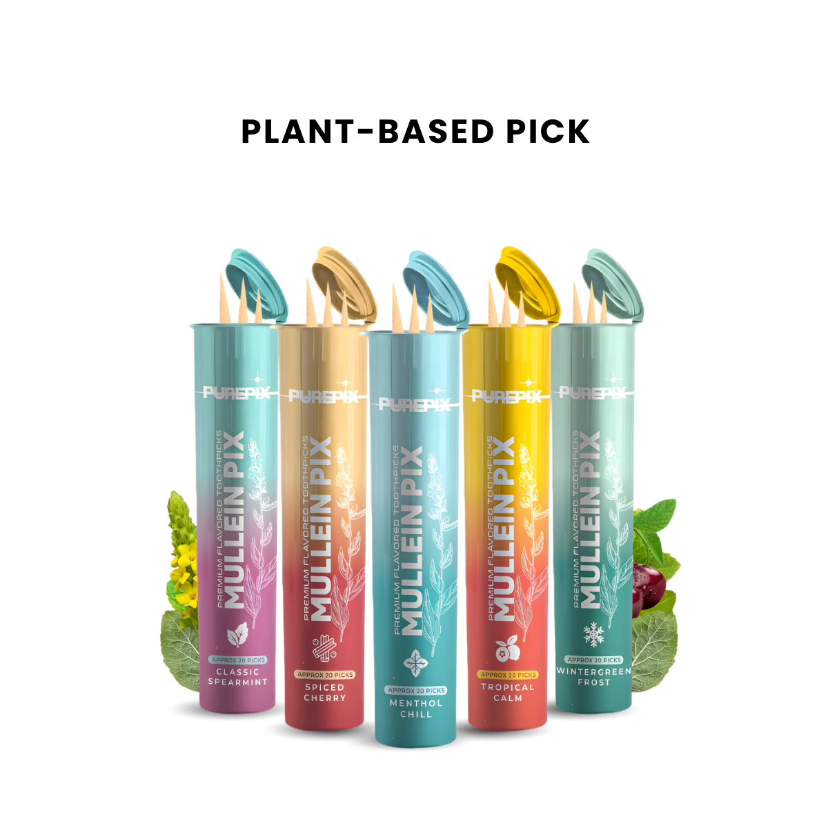 MulleinPix 5 Flavor Variety Pack
