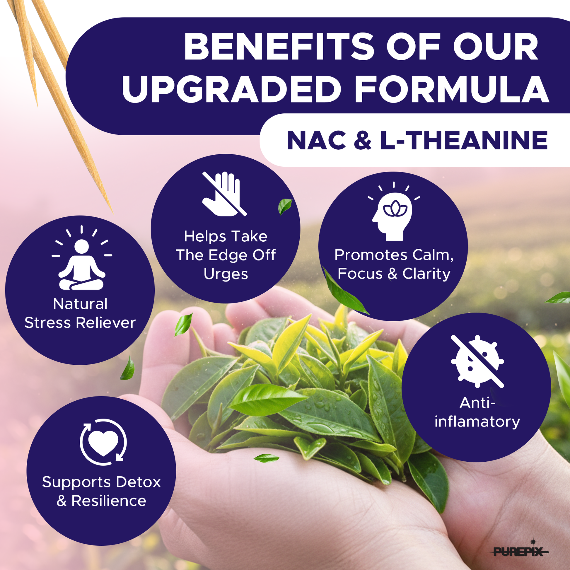 QuitPix to Help Quit Smoking Flavored Toothpicks with NAC & L-Theanine  -  Nicotine Free Toothpicks - Kosher