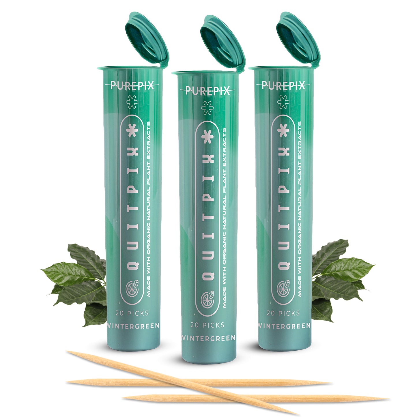 QuitPix to Help Quit Smoking Extra Thick Flavored Toothpicks with Lobelia Nicotine Free Toothpicks (Wintergreen 3 Pack)