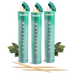 PurePix QuitPix Wintergreen Flavored Toothpicks – Nicotine-Free & Refreshing (3-Pack) PurePix Brands