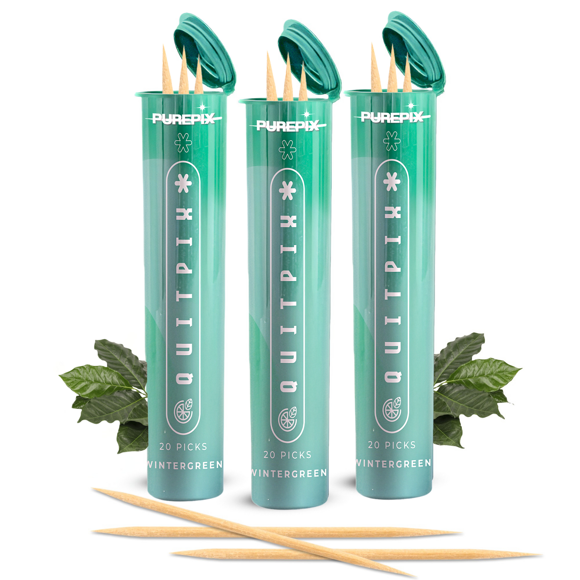 QuitPix Smoking Alternative – Wintergreen Toothpicks (3-Pack) | Nicotine-Free, Lobelia-Infused