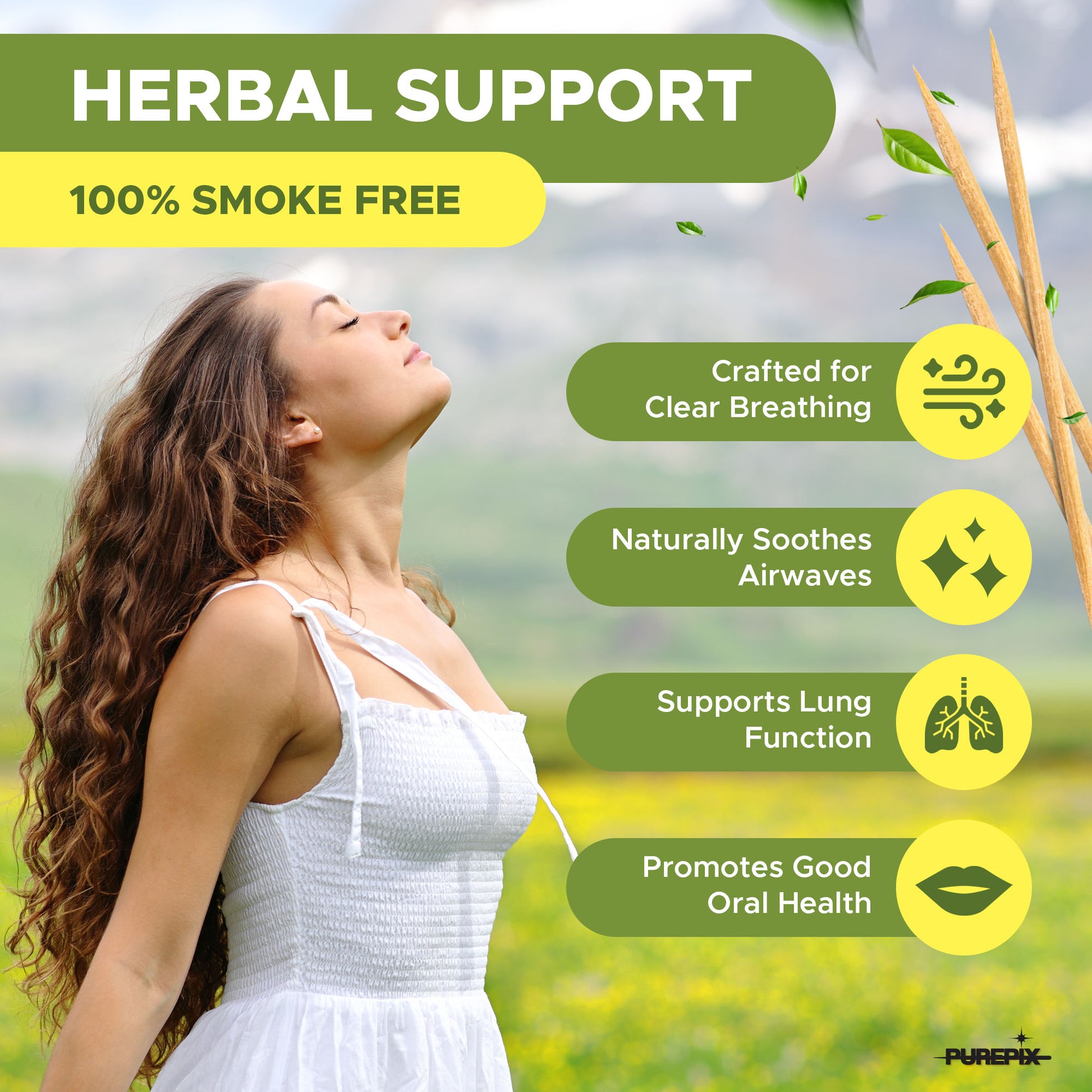 Mullein Pix, Extra Thick Boosting Flavored Toothpicks with Mullein Leaf – Natural Smoking Alternative – Lung Cleanse Support – Nicotine Free