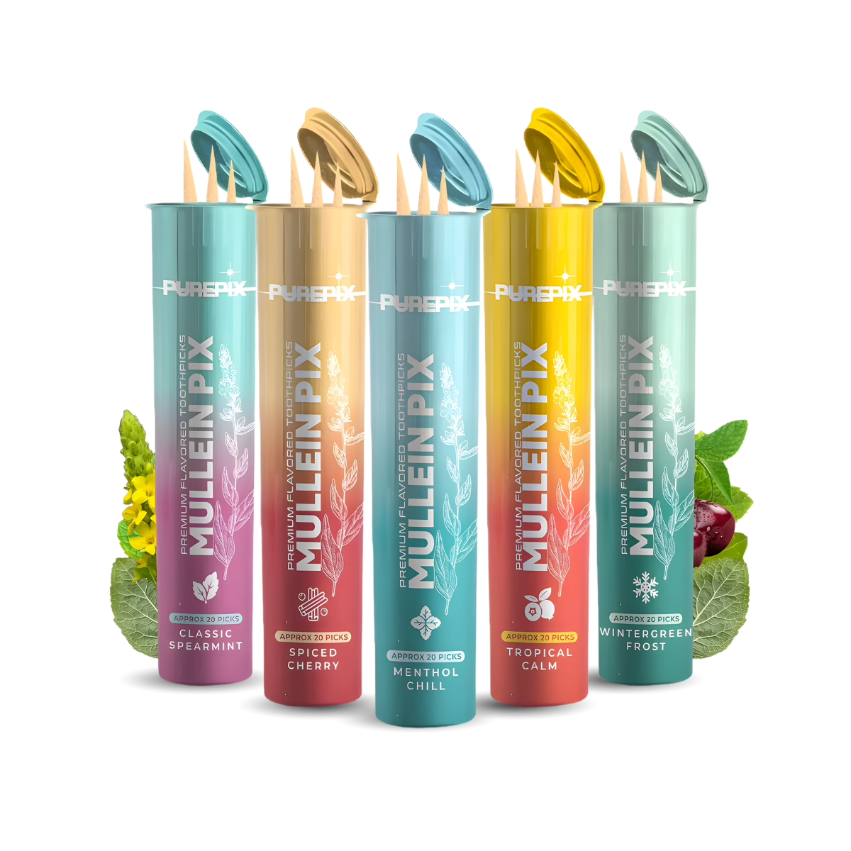 MulleinPix 5 Flavor Variety Pack