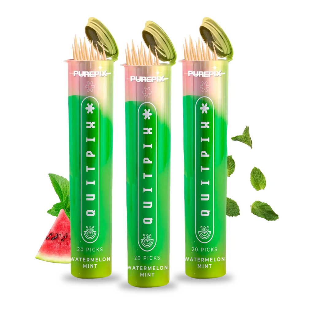 Watermelon Mint Flavored Toothpicks (3-Pack)