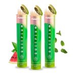 Watermelon Mint Flavored Toothpicks (3-Pack)