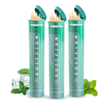 Wintergreen Flavored Toothpicks – (3-Pack)